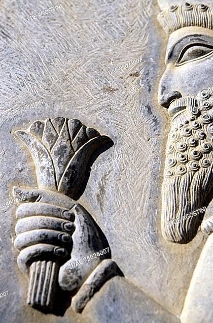 تور تخت جمشید